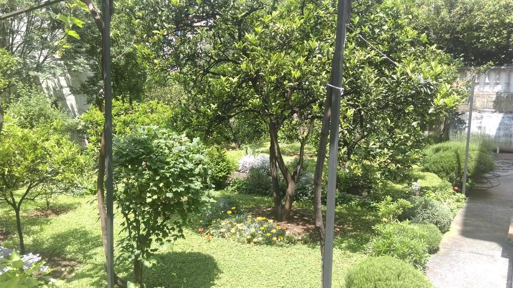 Apartment Ruzica Krstic Herceg Novi Kültér fotó