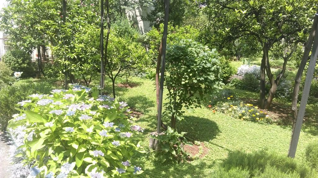 Apartment Ruzica Krstic Herceg Novi Kültér fotó