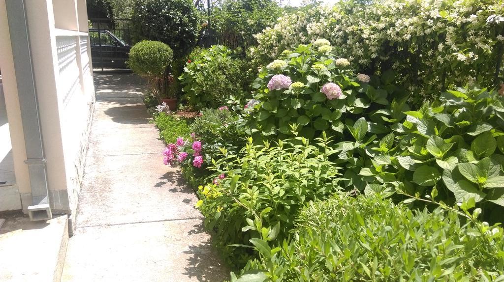 Apartment Ruzica Krstic Herceg Novi Kültér fotó